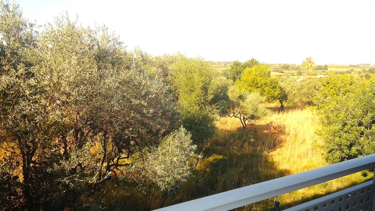 Terravita Residencial Lek Peñíscola Dış mekan fotoğraf
